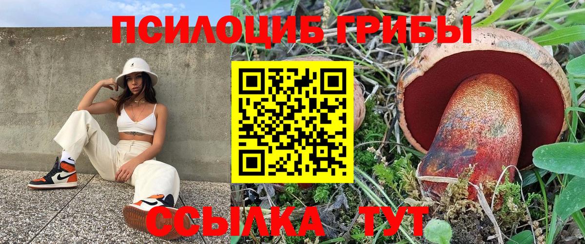Галлюциногенные грибы прущие грибы Верхняя Салда