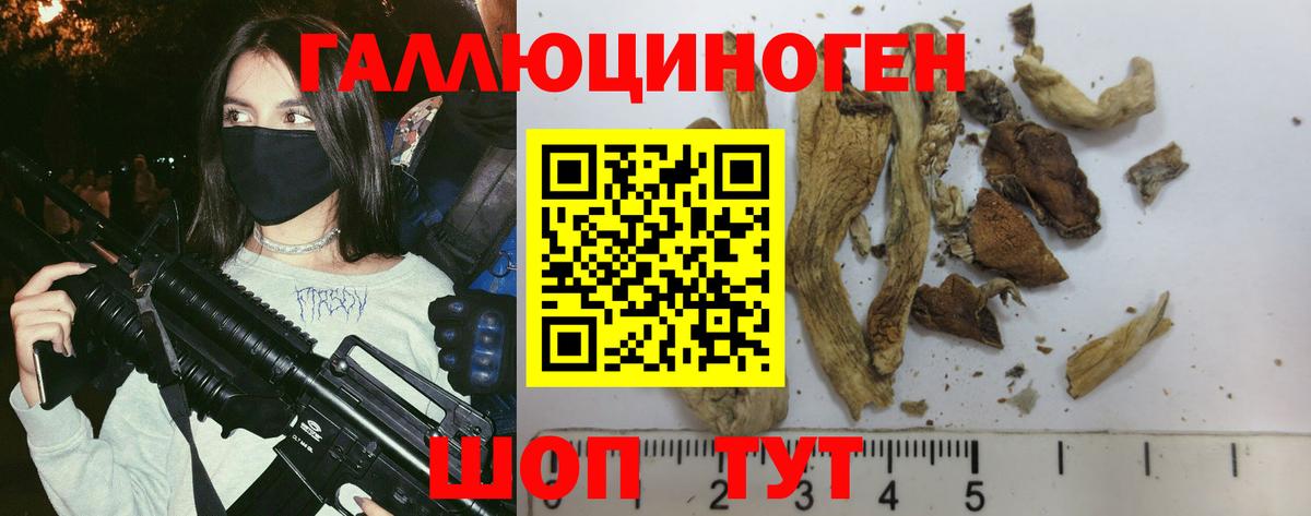 Псилоцибиновые грибы Cubensis  Псилоцибиновые грибы мухоморы  Верхняя Салда  Вход с VPN 